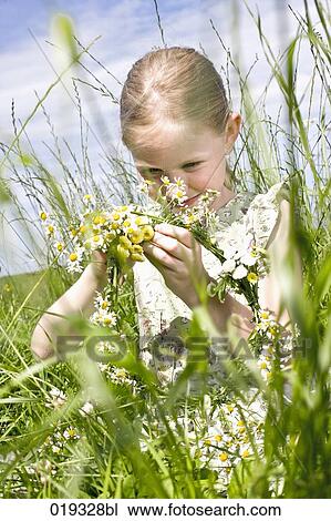 portrait of young girl playing with daisies in meadow View Large Photo Image Stock Image - portrait of young girl playing with daisies in meadow. Fotosearch