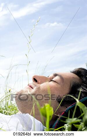 portrait of young man dozing in grass View Large Photo Image Stock Image - portrait of young man dozing in grass. Fotosearch