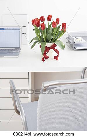 still life of bunch of red tulips on office desk View Large Photo Image Stock Image - still life of bunch of red tulips on office desk. Fotosearch