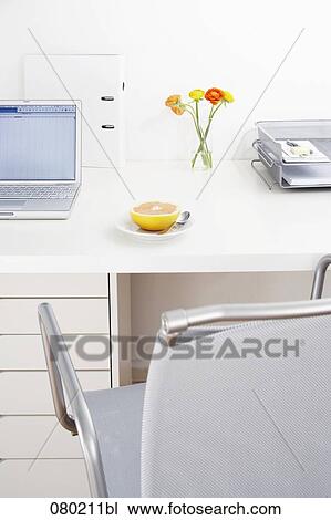still life of grapefruit on plate on office desk View Large Photo Image Stock Image - still life of grapefruit on plate on office desk. Fotosearch