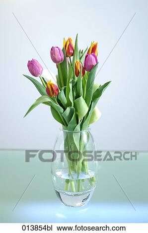 still life of tulips in vase View Large Photo Image Stock Image - still life of tulips in vase. Fotosearch