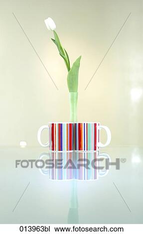 still life of two colourful cups and a tulip View Large Photo Image Stock Image - still life of two colourful cups and a tulip. Fotosearch
