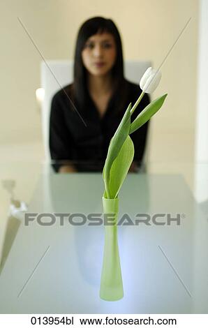 tulip in vase with female executive in the background View Large Photo Image Stock Image - tulip in vase with female executive in the background. Fotosearch