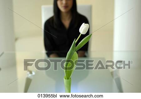 tulip on conference table with female office worker sitting behind View Large Photo Image Stock Image - tulip on conference table with female office worker sitting behind. Fotosearch