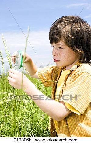 young boy looking at grass through magnifying glass View Large Photo Image Stock Image - young boy looking at grass through magnifying glass. Fotosearch