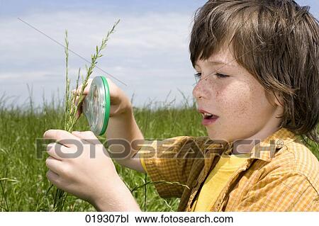 young boy looking at grass through magnifying glass View Large Photo Image Stock Image - young boy looking at grass through magnifying glass. Fotosearch