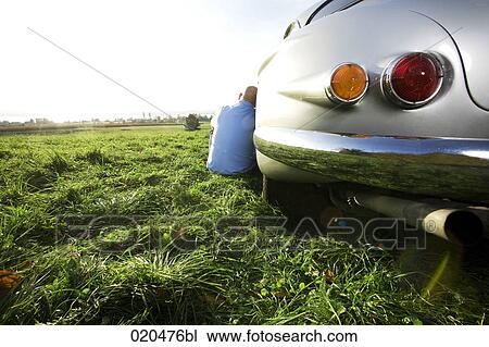 bald man sitting on meadow by his classic car watching landscape View Large Photo Image Stock Image - bald man sitting on meadow by his classic car watching landscape. Fotosearch