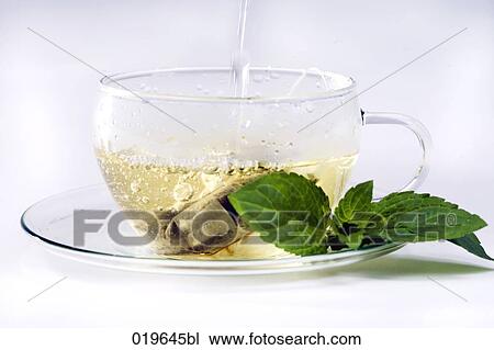 Stock Image - hot water being poured into cup for peppermint tea. Fotosearch