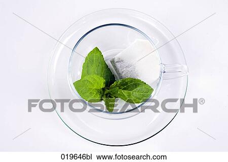 peppermint leaves and tea bag in cup View Large Photo Image Stock Image - peppermint leaves and tea bag in cup. Fotosearch
