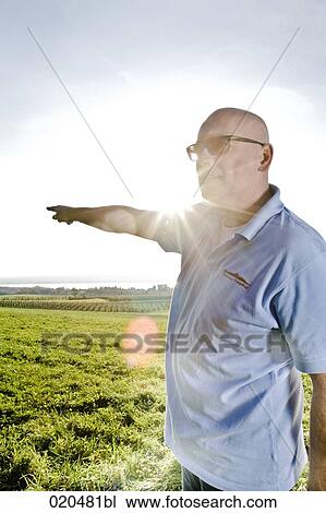 portrait of bald man on meadow pointing against sky View Large Photo Image Stock Image - portrait of bald man on meadow pointing against sky. Fotosearch