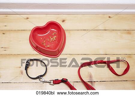 still life of empty feeding bowl and dog collar View Large Photo Image Stock Image - still life of empty feeding bowl and dog collar. Fotosearch