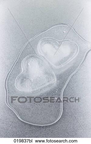 still life of two melting heart shaped pieces of ice View Large Photo Image Stock Image - still life of two melting heart shaped pieces of ice. Fotosearch