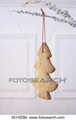 Stock Image - christmas cookie hanging on twig. Fotosearch