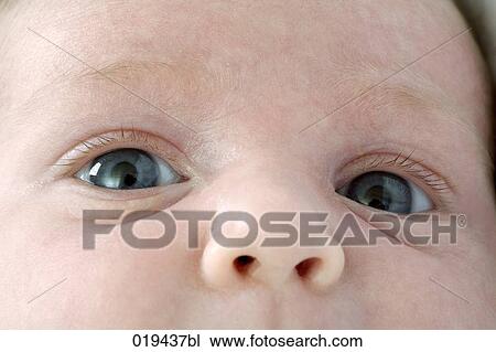 close-up of face of baby View Large Photo Image Stock Image - close-up of face of baby. Fotosearch