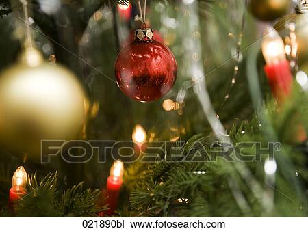 colourful baubles hanging on christmas tree View Large Photo Image Stock Image - colourful baubles hanging on christmas tree. Fotosearch