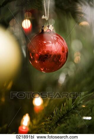 colourful baubles hanging on christmas tree View Large Photo Image Stock Image - colourful baubles hanging on christmas tree. Fotosearch