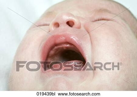 headshot of crying baby View Large Photo Image Stock Image - headshot of crying baby. Fotosearch
