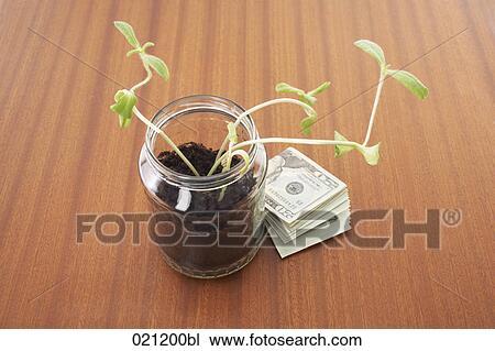 Stock Image - jar with seedling and dollar banknotes. Fotosearch