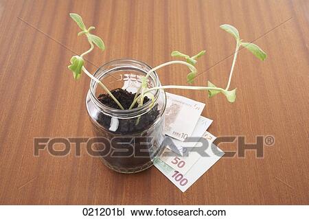 jar with seedlings and euro banknotes View Large Photo Image Stock Image - jar with seedlings and euro banknotes. Fotosearch