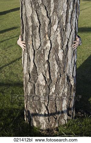 man hiding behind tree trunk View Large Photo Image Stock Image - man hiding behind tree trunk. Fotosearch