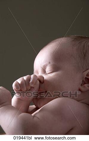 portrait of baby View Large Photo Image Stock Image - portrait of baby. Fotosearch