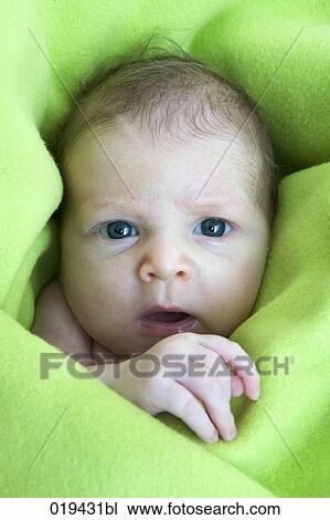 portrait of baby wrapped in green blanket View Large Photo Image Stock Image - portrait of baby wrapped in green blanket. Fotosearch