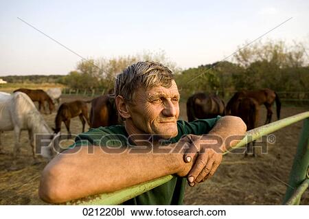 Stock Image - portrait of farmer in front of horses. Fotosearch