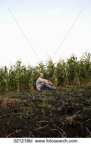 Stock Image - portrait of farmer sitting in corn field. Fotosearch