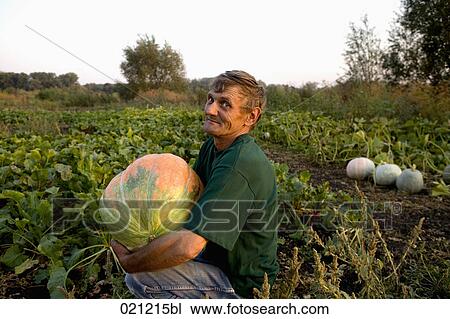 portrait of peasant sitting in garden holding pumpkin View Large Photo Image Stock Image - portrait of peasant sitting in garden holding pumpkin. Fotosearch