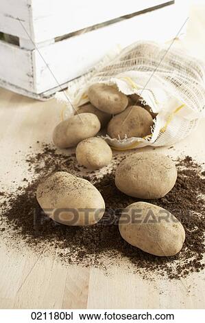 potatoes pouring out of sack View Large Photo Image Stock Image - potatoes pouring out of sack. Fotosearch