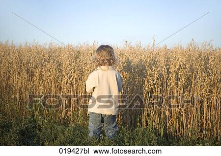 rear view of toddler standing in front of field View Large Photo Image Stock Image - rear view of toddler standing in front of field. Fotosearch