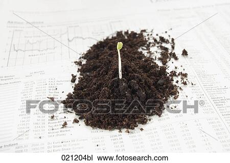 seedling growing on page of newspaper View Large Photo Image Stock Image - seedling growing on page of newspaper. Fotosearch