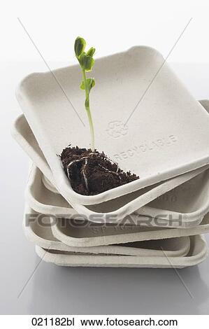 Stock Image - seedling growing on recycable carton boxes. Fotosearch