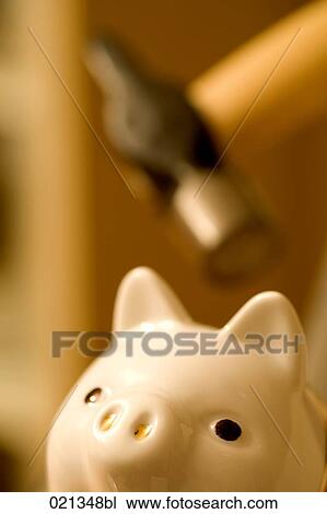 still life of piggybank with hammer in background View Large Photo Image Stock Image - still life of piggybank with hammer in background. Fotosearch