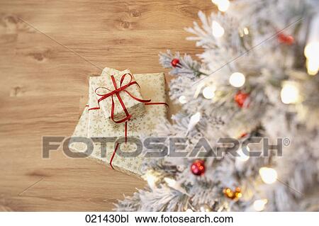 still life of presents under the christmas tree View Large Photo Image Stock Image - still life of presents under the christmas tree. Fotosearch