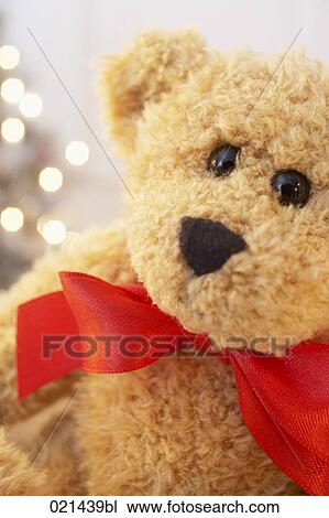 still life of teddy bear View Large Photo Image Stock Image - still life of teddy bear. Fotosearch