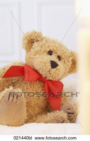 still life of teddy bear View Large Photo Image Stock Image - still life of teddy bear. Fotosearch