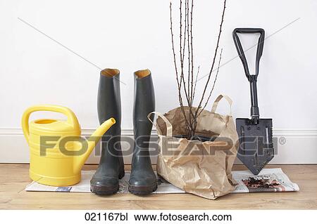 still life of watering can rubber boots seedling and shovel View Large Photo Image Stock Image - still life of watering can rubber boots seedling and shovel. Fotosearch