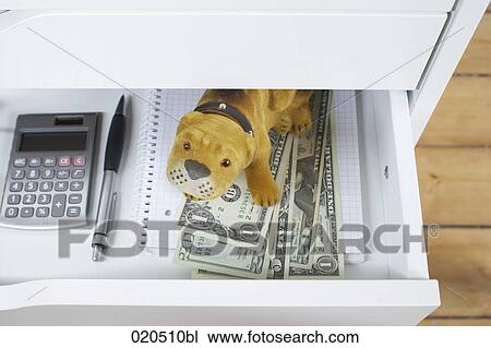 view into open drawer toy dog protecting dollar banknotes View Large Photo Image Stock Image - view into open drawer toy dog protecting dollar banknotes. Fotosearch