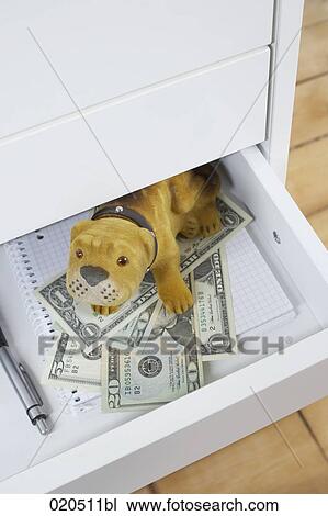 view into open drawer toy dog protecting dollar banknotes View Large Photo Image Stock Image - view into open drawer toy dog protecting dollar banknotes. Fotosearch