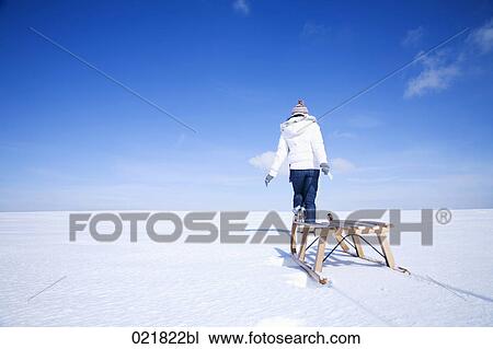 young asian woman in winter pulling sledge through snow View Large Photo Image Stock Image - young asian woman in winter pulling sledge through snow. Fotosearch