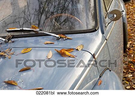 autumn leaves on classic car View Large Photo Image Stock Image - autumn leaves on classic car. Fotosearch