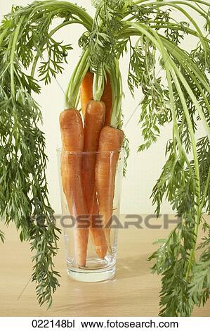 carrots in glass on table View Large Photo Image Stock Image - carrots in glass on table. Fotosearch
