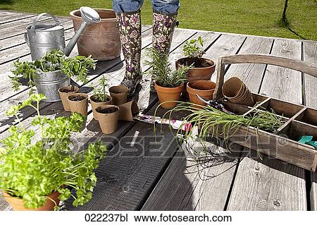 detail of young woman on veranda surrounded by gardening equipment View Large Photo Image Stock Image - detail of young woman on veranda surrounded by gardening equipment. Fotosearch