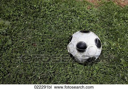 football on grass View Large Photo Image Stock Image - football on grass. Fotosearch