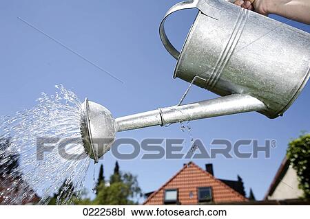 Stock Image - low angle view of young woman pouring water from watering can. Fotosearch