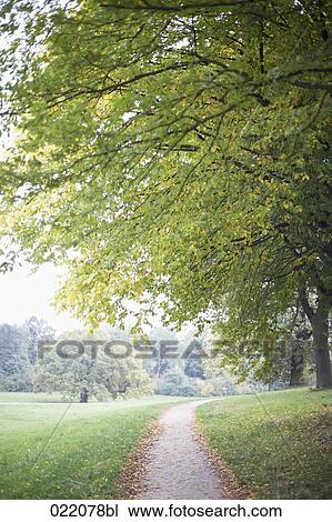 path in park in autumn View Large Photo Image Stock Image - path in park in autumn. Fotosearch