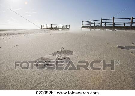 sandy beach in autumn View Large Photo Image Stock Image - sandy beach in autumn. Fotosearch