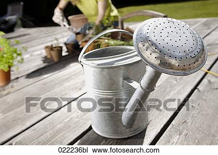 silver watering can on veranda View Large Photo Image Stock Image - silver watering can on veranda. Fotosearch