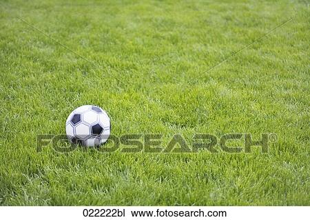 still life of football in grass View Large Photo Image Stock Image - still life of football in grass. Fotosearch